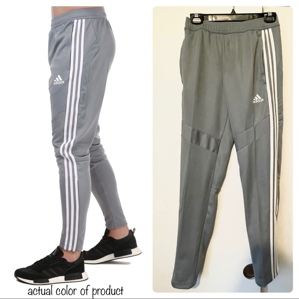Tiro 19 pants